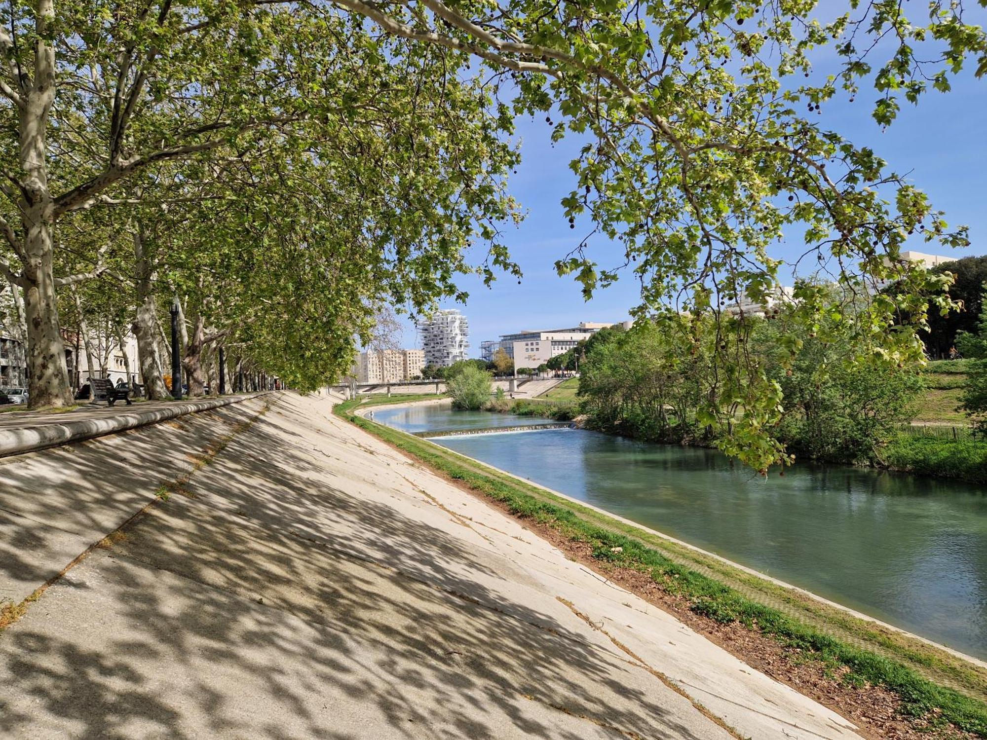 Appartement Avec Vue Sur Le Lez モンペリエ エクステリア 写真